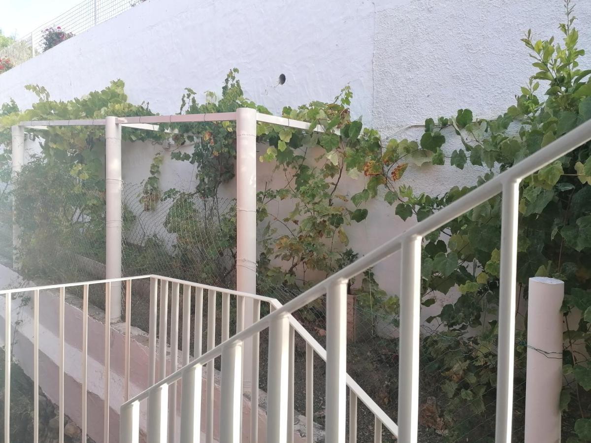 Apartamento Lemmon Tree Santa Brígida Buitenkant foto