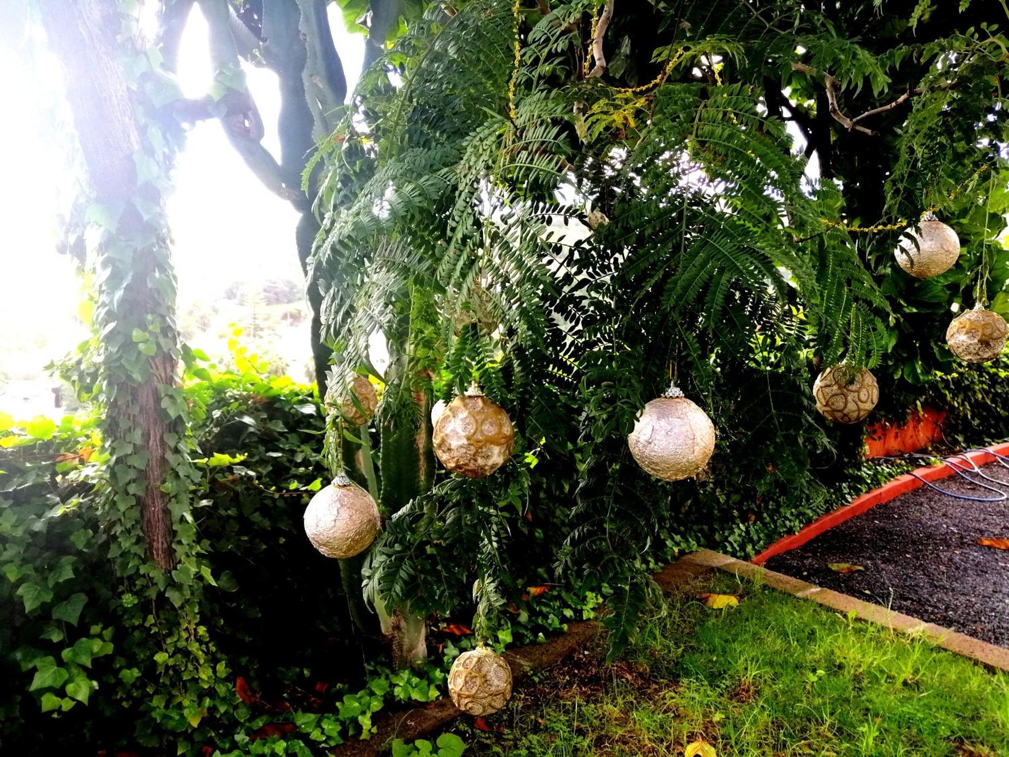 Apartamento Lemmon Tree Santa Brígida Kamer foto