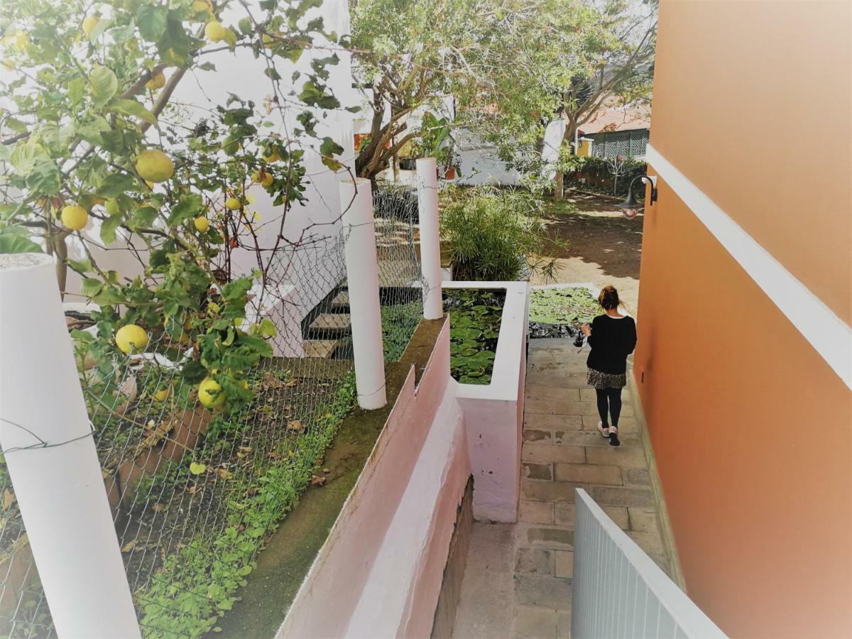 Apartamento Lemmon Tree Santa Brígida Buitenkant foto